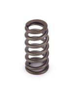 Valve Springs