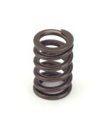 Valve Springs