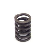 Valve Springs