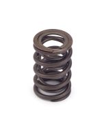 Valve Springs