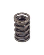 Valve Spring