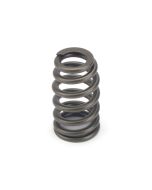 Valve Springs