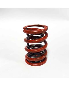 Valve Spring