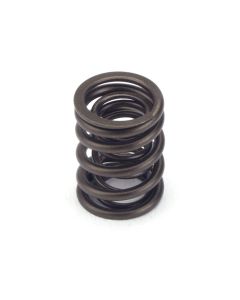 Valve Spring