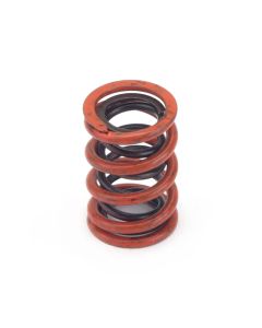 Valve Spring