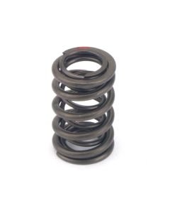 Valve Spring