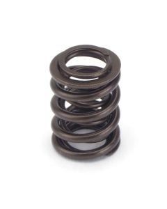 Valve Spring
