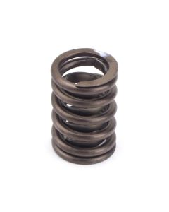 Valve Spring