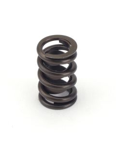 Valve Spring