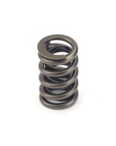 Valve Springs