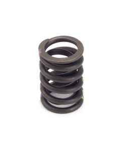 Valve Spring