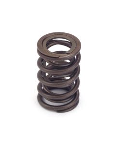 Valve Springs