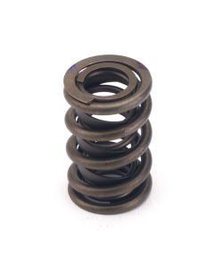 Valve Spring