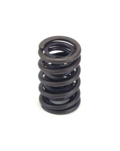 Valve Spring