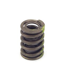 Valve Spring