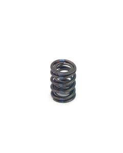 Valve Springs