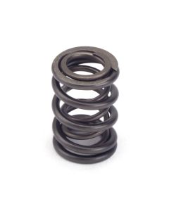Valve Spring