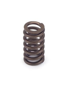 Valve Springs