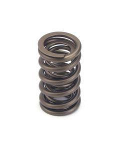 Valve Spring