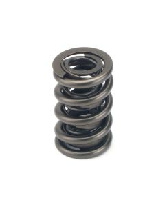 Valve Springs