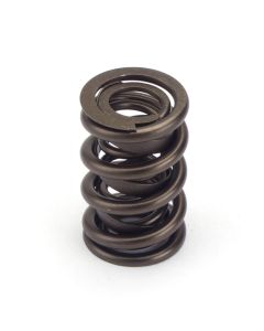 Valve Spring