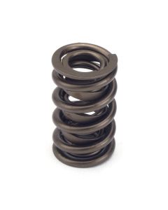 Valve Springs