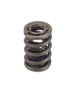 Valve Spring