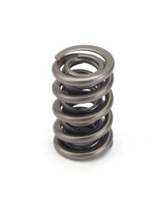 Valve Springs