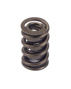 Valve Spring