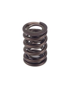 Valve Spring