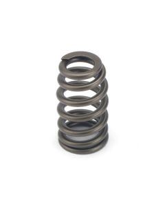 Valve Springs