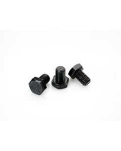 Camshaft Bolts