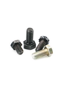 Camshaft Bolts