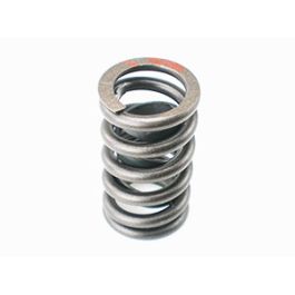 Calibration Spring