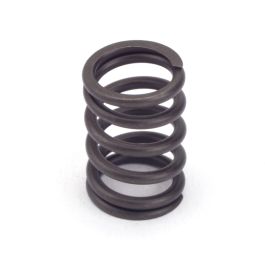 Sentinel Valve Spring Valve Spring