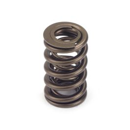 Valve Spring Side View Valve Springs