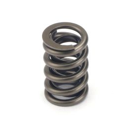 Sentinel Valve Spring Valve Springs