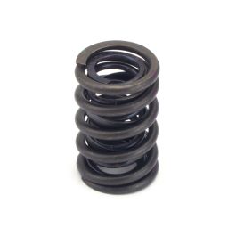 Sentinel Valve Spring Valve Springs