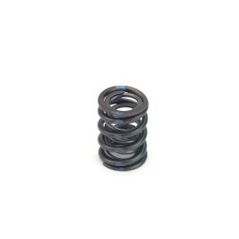 Sentinel Valve Spring Valve Springs